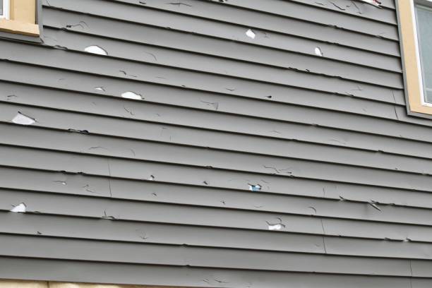 Best Steel Siding Installation  in Norco, LA