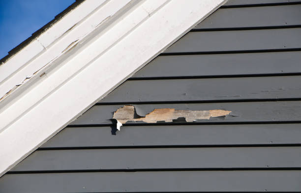 Best Composite Siding  in Norco, LA